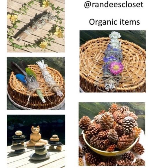 White Sage 1 stick 8”x 1” Organic New Hand Crafted - Picture 7 of 12